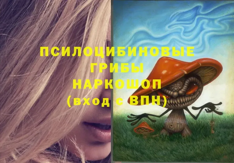 Псилоцибиновые грибы прущие грибы  hydra ONION  Большой Камень 